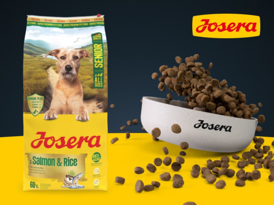 image 1 of Josera Senior Salmon & Rice complete dog food | All sizes | Lower protein & fat | Gluten-free | Immune support | Cardiac support | Salmon Oil Omega 3 | 12.5kg