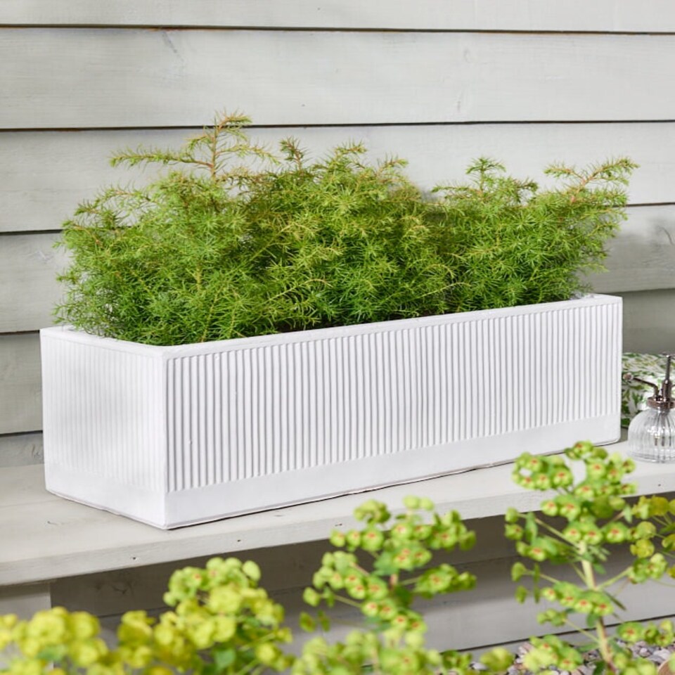 image 1 of Mela Wide White Planter White