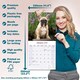 image 6 of French Bulldog 2026 Calendar | Square Wall Calendar | Dog Breed Gift | Plastic Free Packaging | by Avonside Publishing