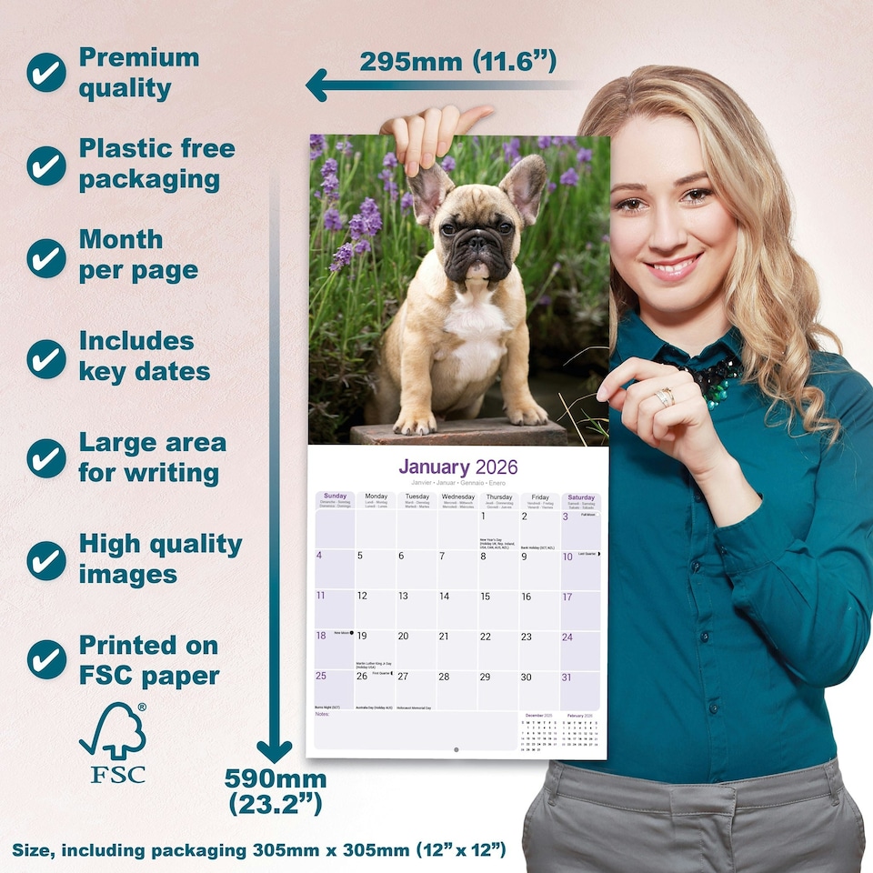 image 1 of French Bulldog 2026 Calendar | Square Wall Calendar | Dog Breed Gift | Plastic Free Packaging | by Avonside Publishing