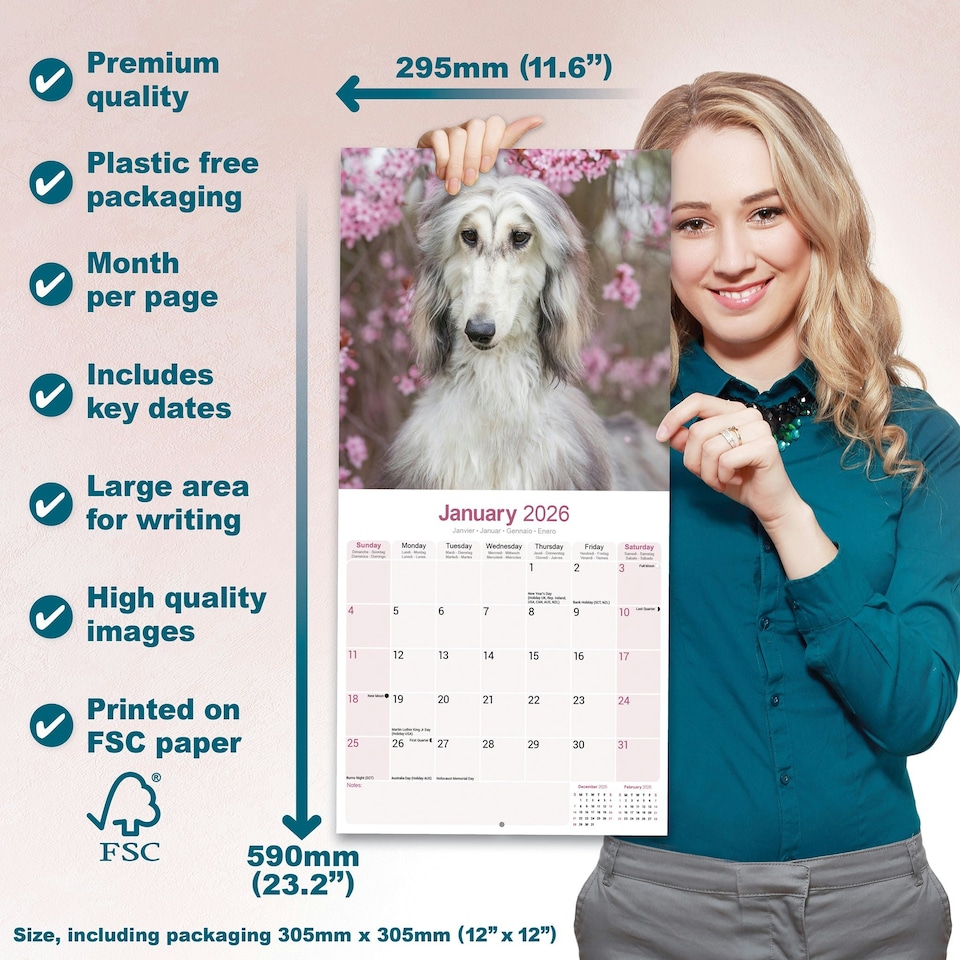 image 1 of Afghan 2026 Calendar | Square Wall Calendar | Dog Breed Gift | Plastic Free Packaging | by Avonside Publishing