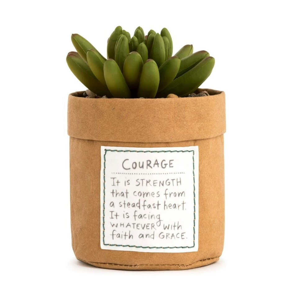Demdaco Indoor Plant Kindness - Courage Brown