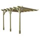 image 1 of Wall Mounted Premium Pergola 3 Posts - Wood - L300 x W660 x H270 cm - Light Green