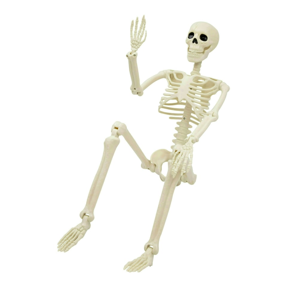 image 1 of 90cm Skeleton