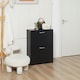 image 2 of HOMCOM Two Drawer Shoe Storage Cabinet Footwear Stand Organiser for 12 Pairs