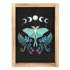 Luna Moth Wooden Framed Wall Art Multi | One Size