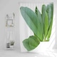 image 1 of Collection Of Green Leaves On White Shower Curtain