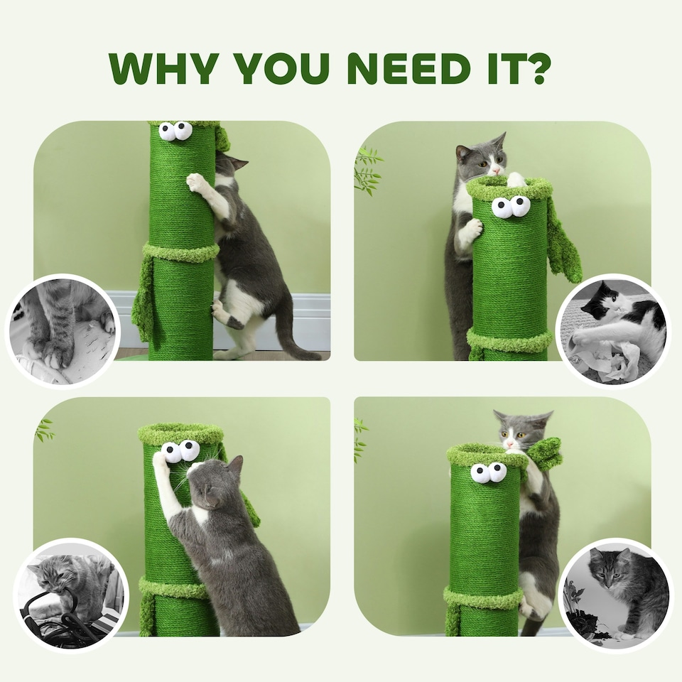 image 1 of PawHut Cat Scratcher Post Indoor with Sisal Rope, 63cm Tall, Green