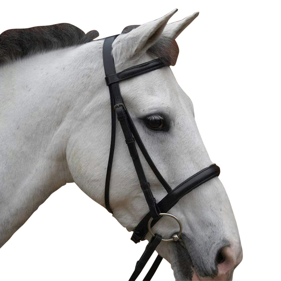 image 1 of Hy Padded Cavesson Bridle with Rubber Grip Reins - Black - Pony
