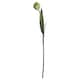image 1 of Hill Interiors Artificial Green Tulip Plant - Green - One Size