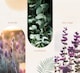 image 3 of Room Spray Fragrance Mist Air Freshener - Reflective Rest | White