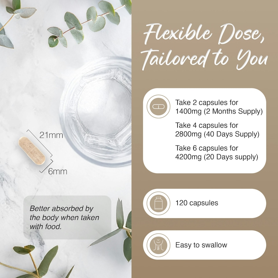 image 1 of Zipvit Psyllium Husk 1400mg, Natural High Strength Fibre Supplement, 120 Vegan Capsules