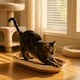 image 3 of Cat Scratcher Bed & Kitten Lounger - Durable Corrugated Cardboard Scratch Pad for Pets - For Furniture Protection & Healthy Claws