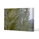 image 1 of autumn pampas grass close up (Canvas Print) 61 x 91 x 4cm