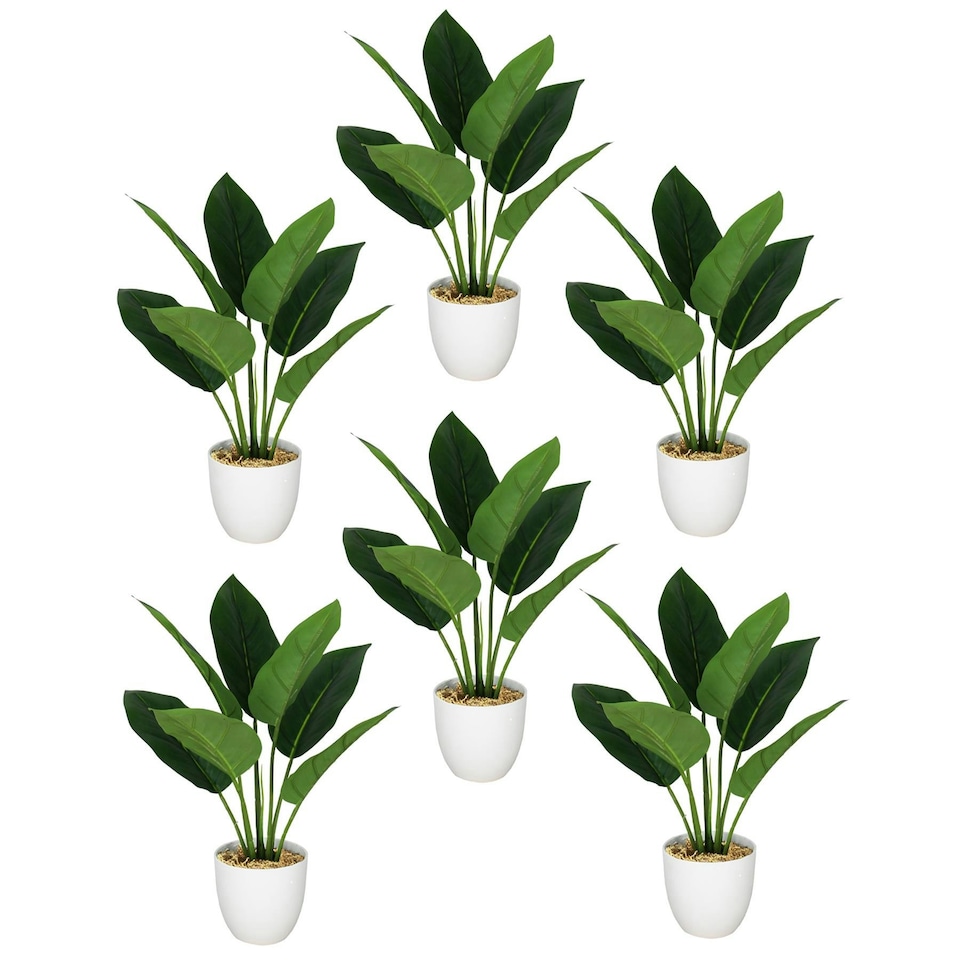 image 1 of Pack of 6 x 45cm Artificial Aureum Plant