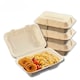 image 1 of Bagasse Sugarcane Takeaway Meal Boxes 9x6 Clamshell Food Containers TUV Home Compostable Certified, Unbleached, PFAS Free & Sturdy for Hot & Cold Food, Restaurants, BBQs Parties