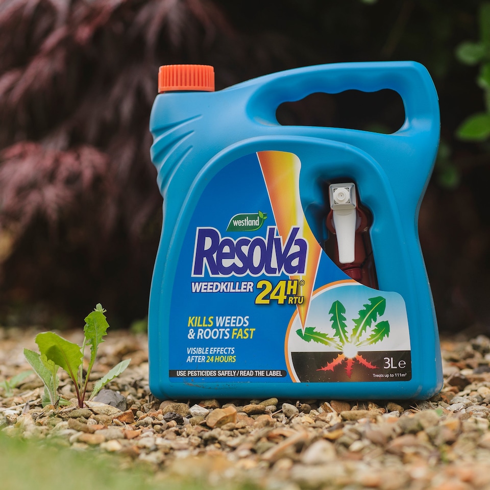 image 1 of Resolva 24H Ready to Use Weedkiller
