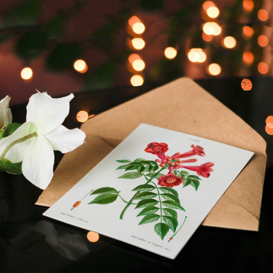 image 1 of Pierre-Joseph Redouté Art Card Trumpet Vine Flowers