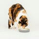 image 7 of Scruffs Classic Pet Saucer 13cm Grey | Grey | 1