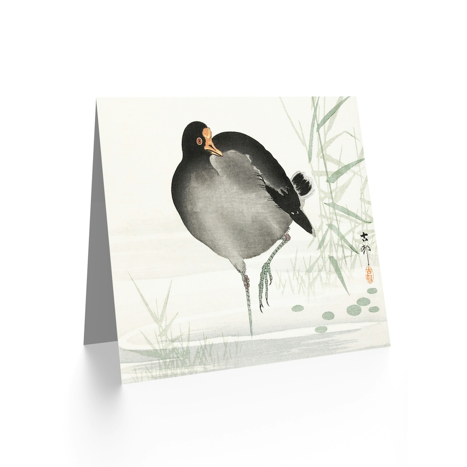 image 1 of Ohara Koson Painting Moorhen Bird Art Card