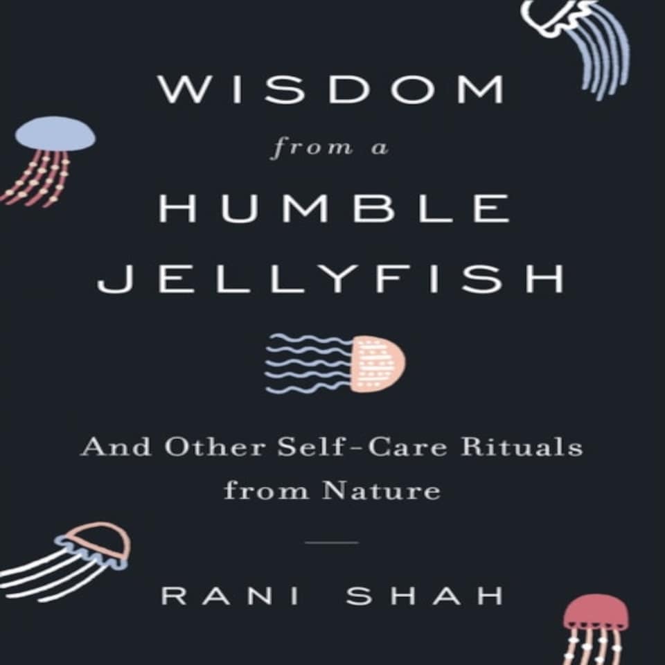 Wisdom From A Humble Jellyfish