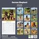 image 2 of German Shepherd 2026 Calendar | Square Wall Calendar | Dog Breed Gift | Plastic Free Packaging | by Avonside Publishing