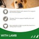 image 4 of IAMS Complete Dry Dog Food for Adult 1+ Large Breeds with Lamb 12 kg