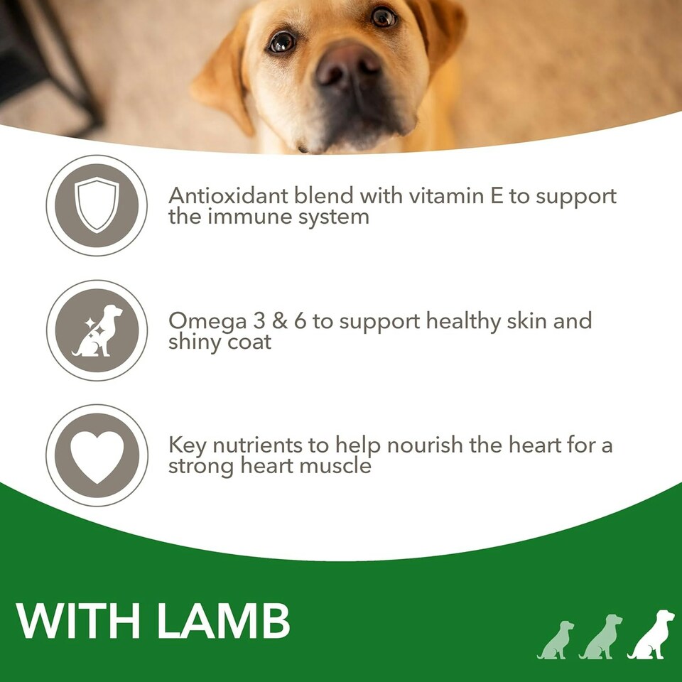 image 1 of IAMS Complete Dry Dog Food for Adult 1+ Large Breeds with Lamb 12 kg