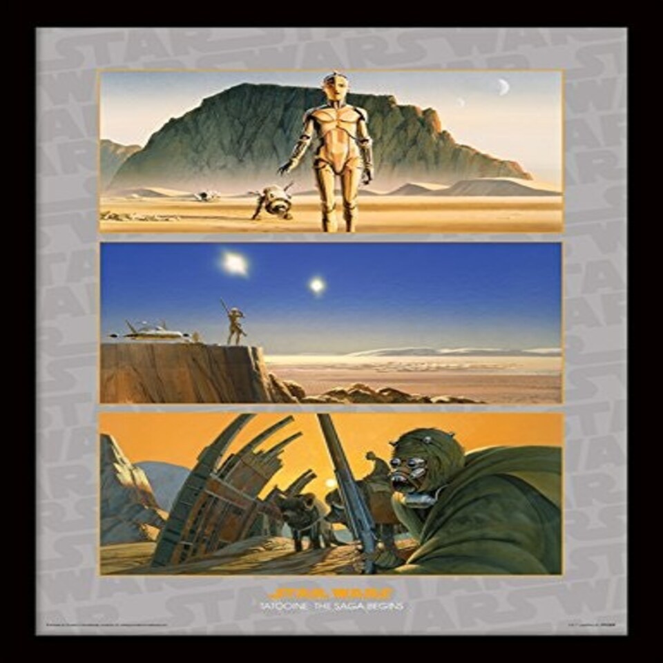 STAR WARS (TATOOINE: THE SAGA BEGINS) - MEMORABILIA RANGE - FP11351P