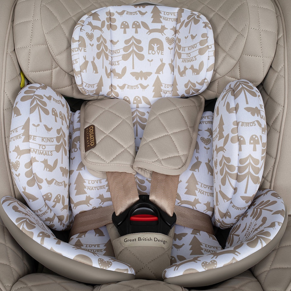 image 1 of Cosatto All in All Extra iSize 360 Car Seat Birth to 12 Years, Extended Rear Facing, ISOFIX with 360 Rotation