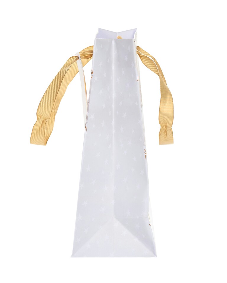 image 1 of Multipack of 3 Medium Gift Bags