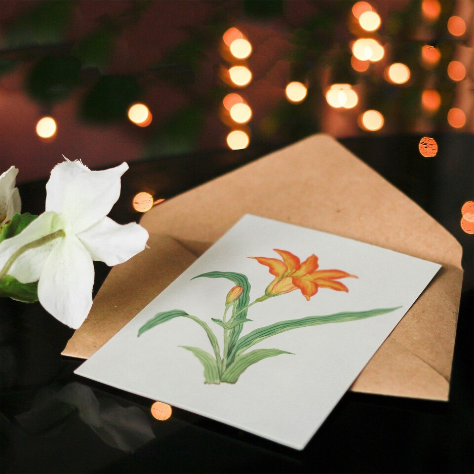 image 1 of Vintage Japanese Botanical Art Card Orange Lily Flower