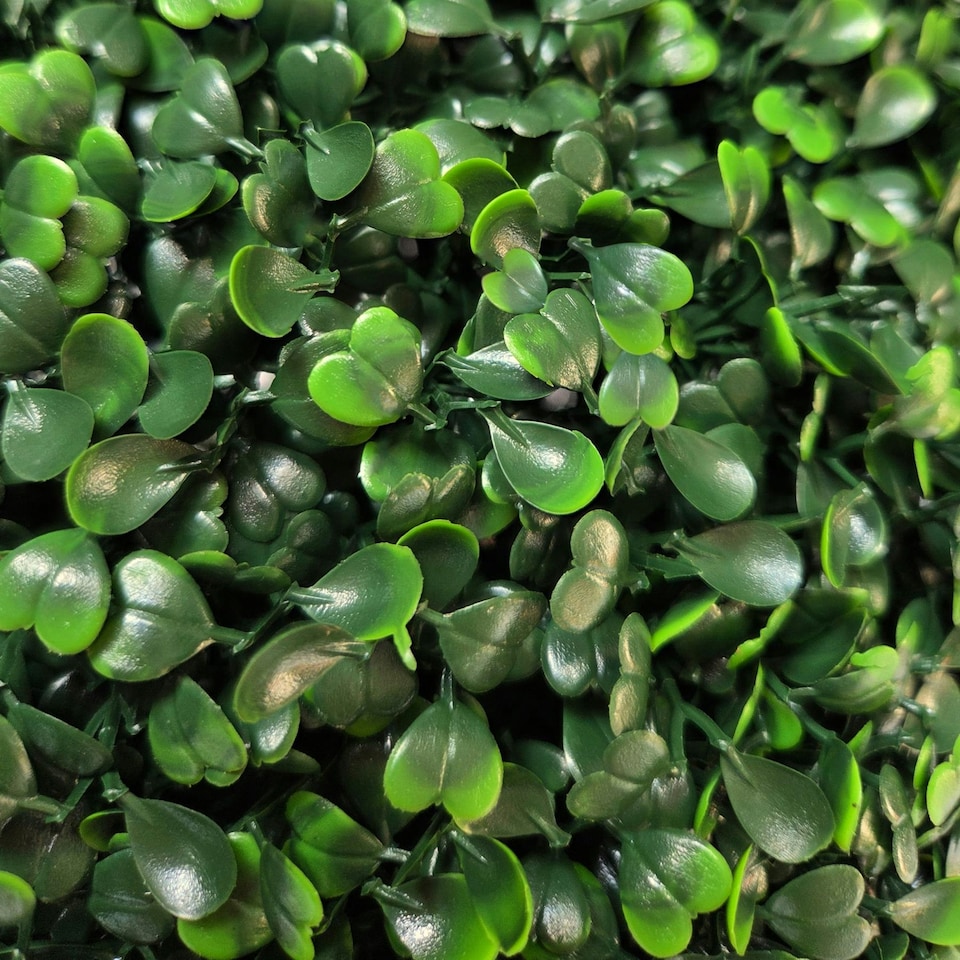 image 1 of True Products Premium Artificial Boxwood Potted Topiary Ball 30cm Dia.