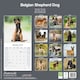 image 2 of Belgian Shepherd Dog 2026 Calendar | Square Wall Calendar | Dog Breed Gift | Plastic Free Packaging | by Avonside Publishing