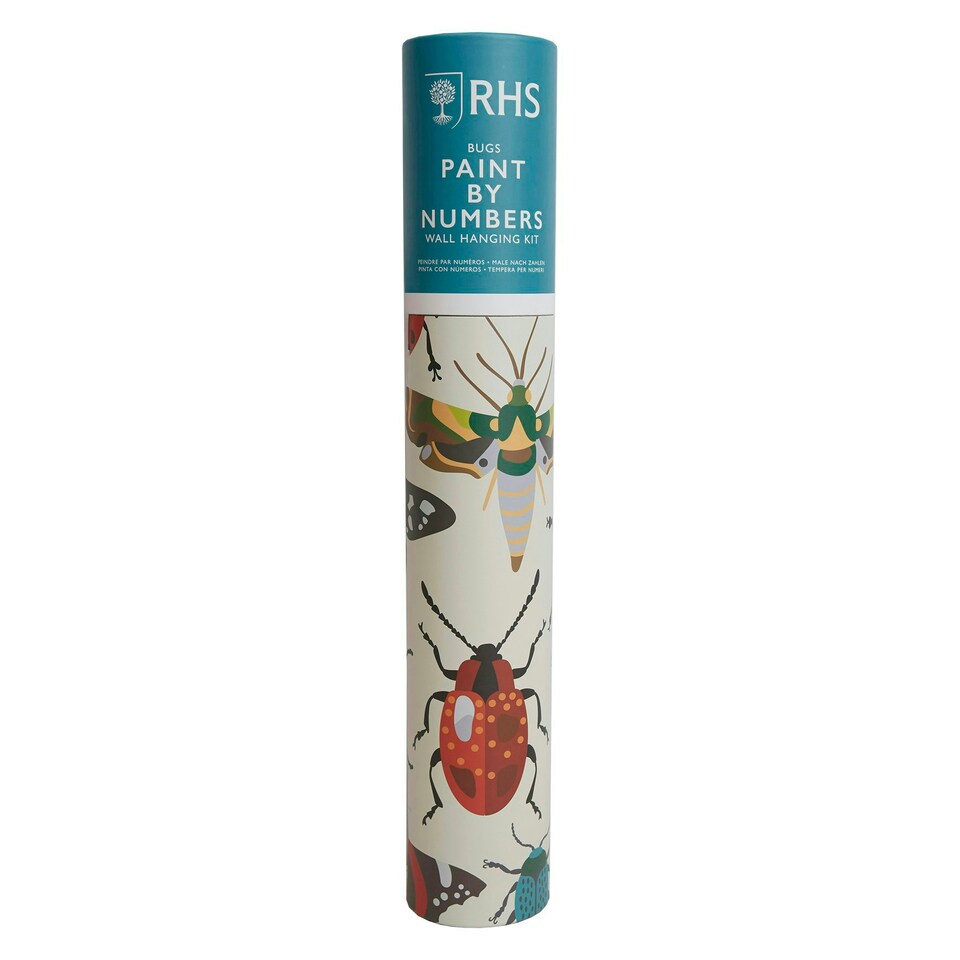 image 1 of RHS Paint by Numbers Kit, Bug Study, Multicoloured, 400 x 500mm