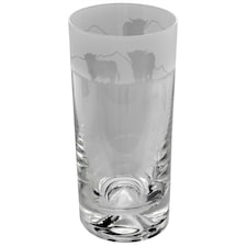 Animo Glass Highball Glass Etched Tumbler Highland
