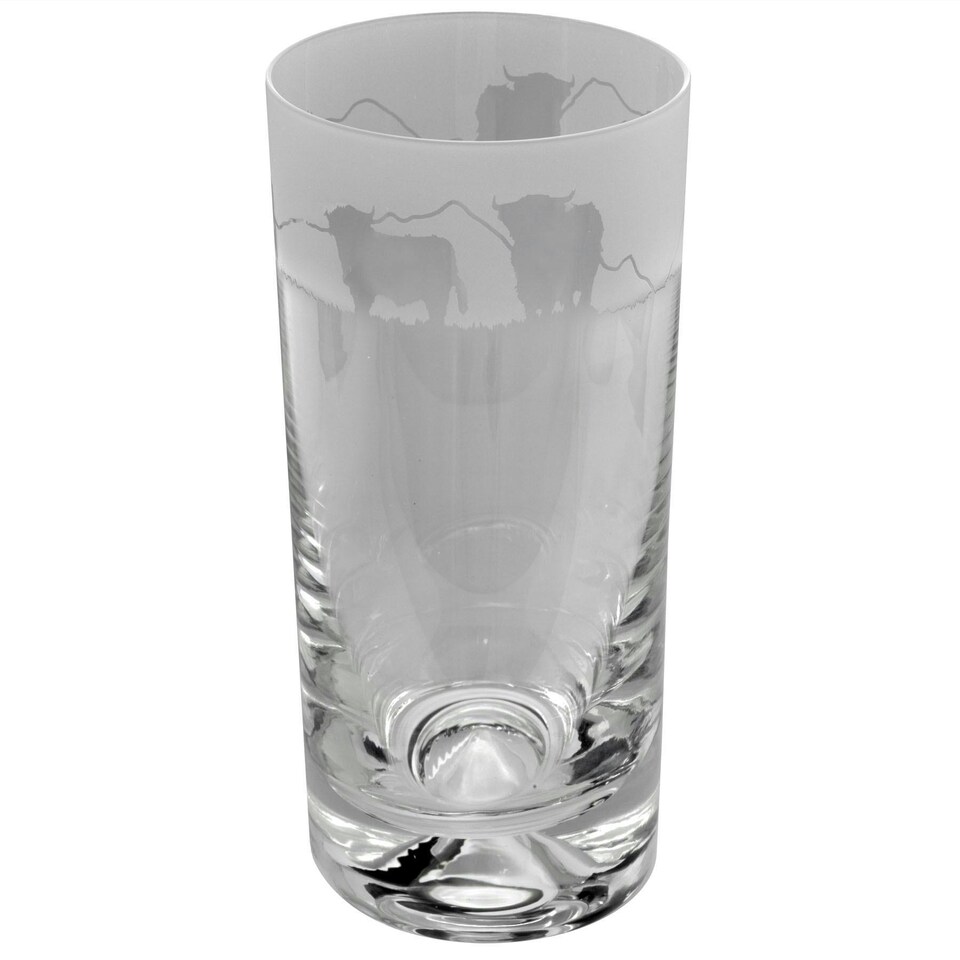 Animo Glass Highball Glass Etched Tumbler Highland