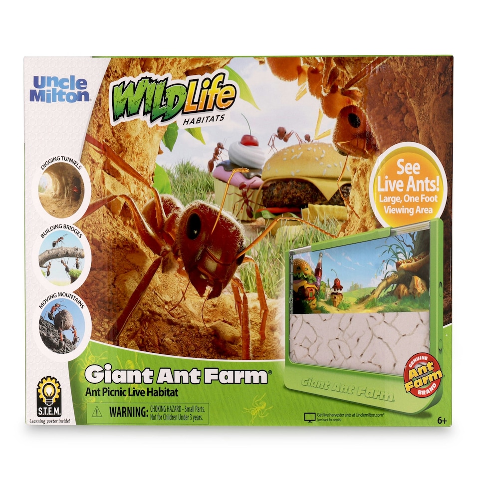 image 1 of Giant Ant Farm