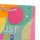 image 3 of Essentials Female Just For You Medium Gift Bag - Pack of 3