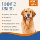 image 3 of Dog Probiotic Powder 525 Million CFU per Serving, 150g, with Prebiotics & Postbiotics, Supports Gut Health & Digestion
