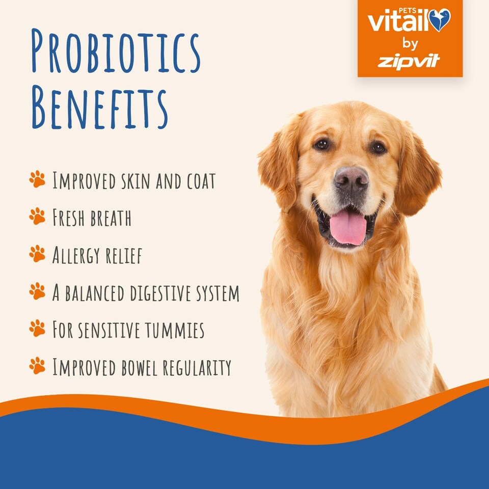 image 1 of Dog Probiotic Powder 525 Million CFU per Serving, 150g, with Prebiotics & Postbiotics, Supports Gut Health & Digestion