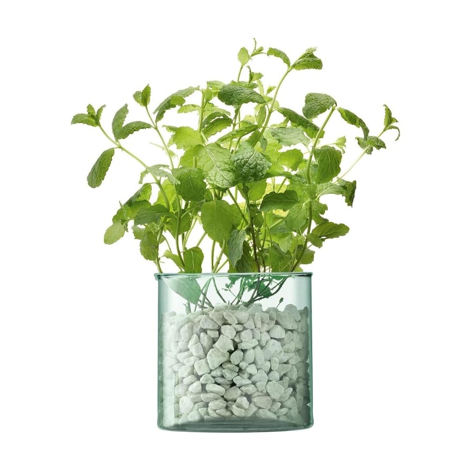 image 1 of LSA Canopy Recycled Sustainable 13.5cm Glass Planter