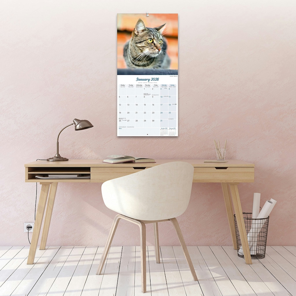 image 1 of Cats 2026 Calendar | Square Wall Calendar | Cat Gift | Plastic Free Packaging | by Avonside Publishing