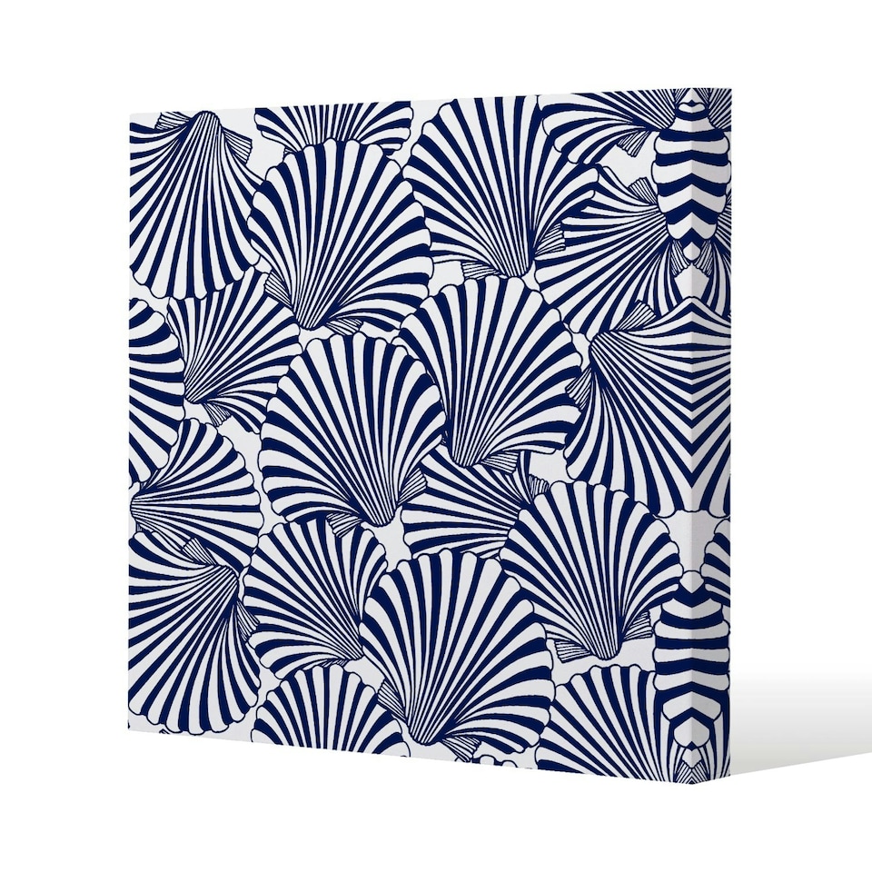 image 1 of Striped Sea Shells (Canvas Print) 46 x 46 x 4cm