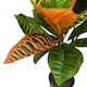 image 6 of 140cm Artificial Codiaeum Tree with 179 Leaves | Green | 4ft