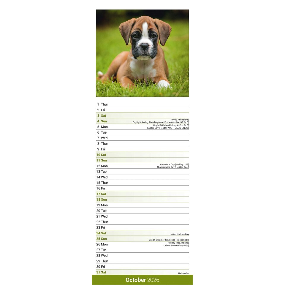 image 1 of Boxer Slim 2026 Calendar | Slimline Wall Calendar | Dog Breed Gift | Plastic Free Packaging | by Avonside Publishing [Calendar] Avonside Publishing Ltd