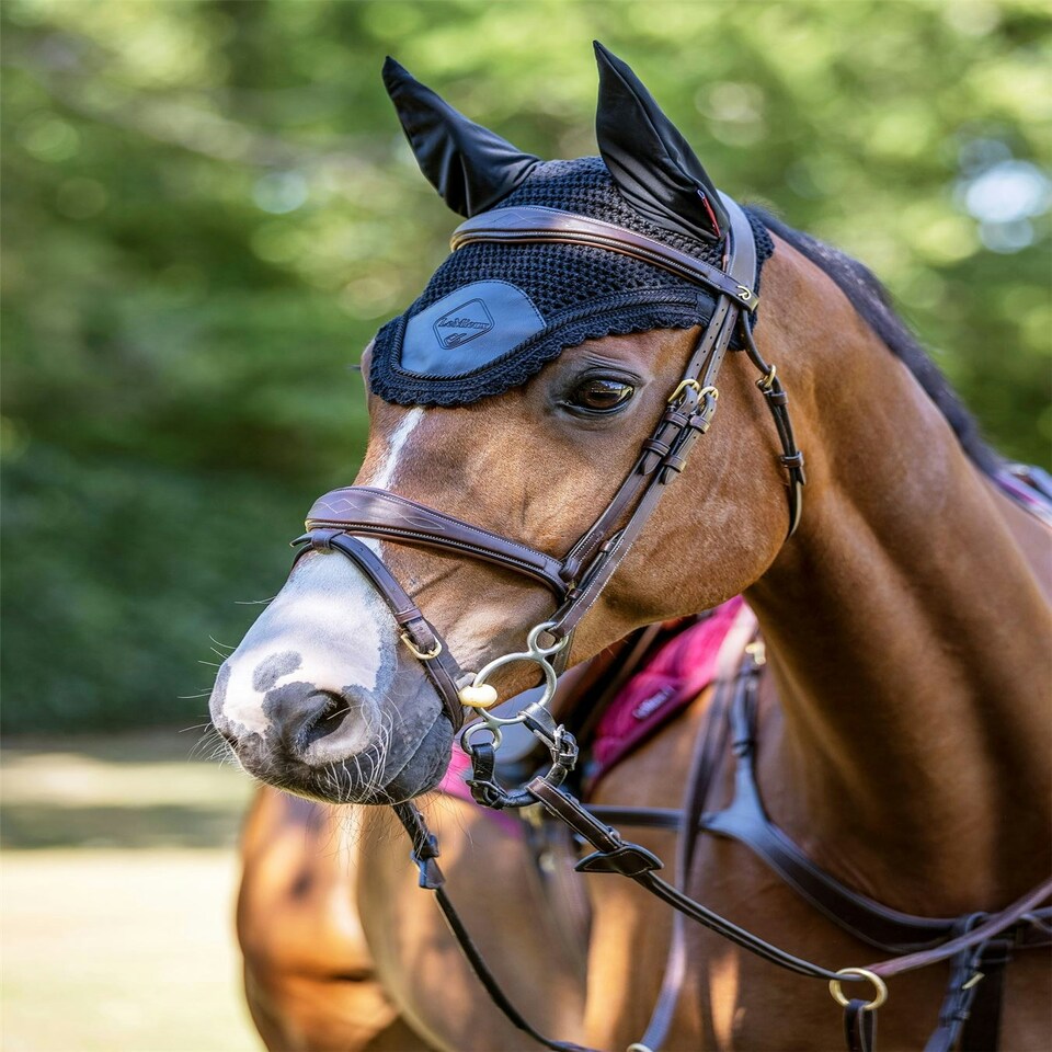 image 1 of LeMieux Elite Fly Hood Blue | Medium