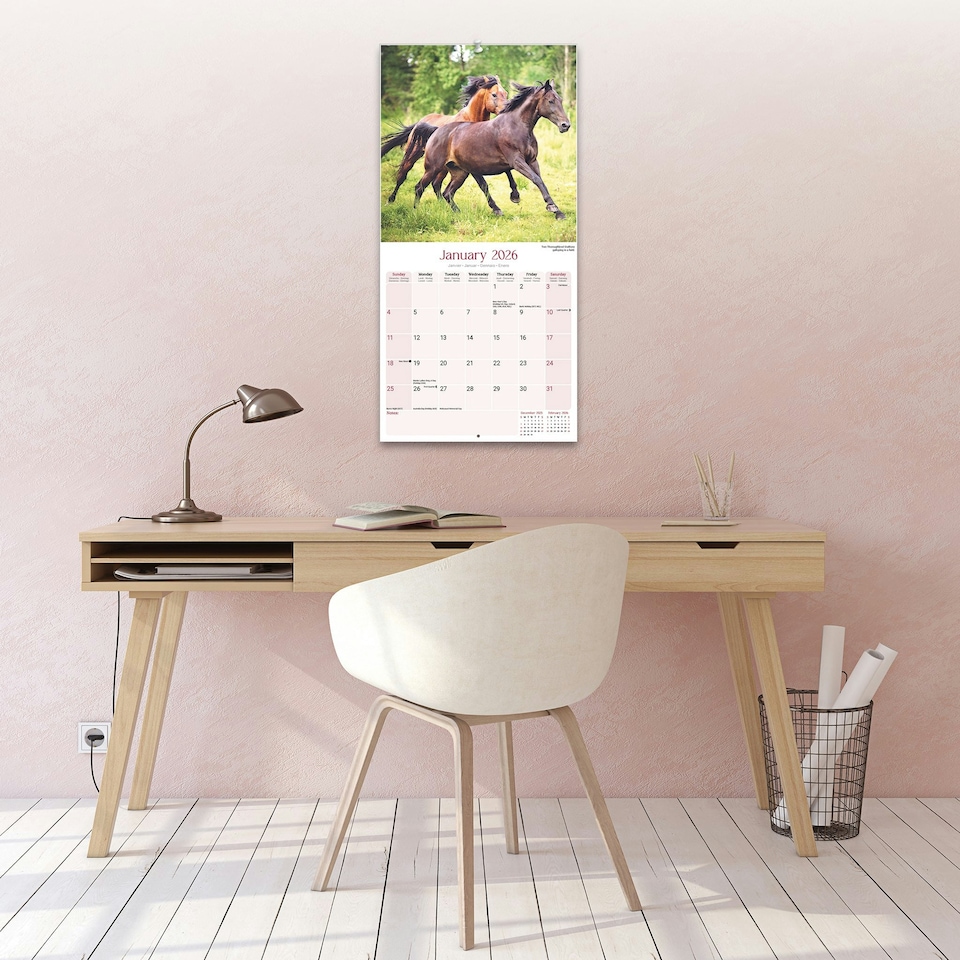 image 1 of Horses 2026 Calendar | Square Wall Calendar | Animal Gift | Plastic Free Packaging | by Avonside Publishing