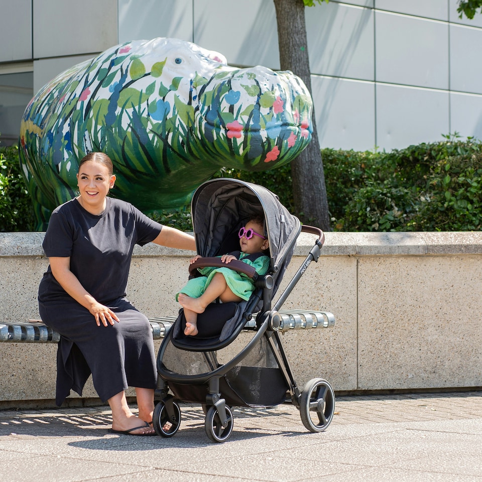 image 1 of Red Kite Push Me Pace I Travel System Icon