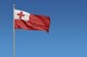 image 5 of Tonga Flag (5x3ft) | Multi